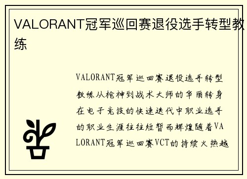 VALORANT冠军巡回赛退役选手转型教练