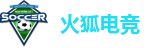 火狐电竞